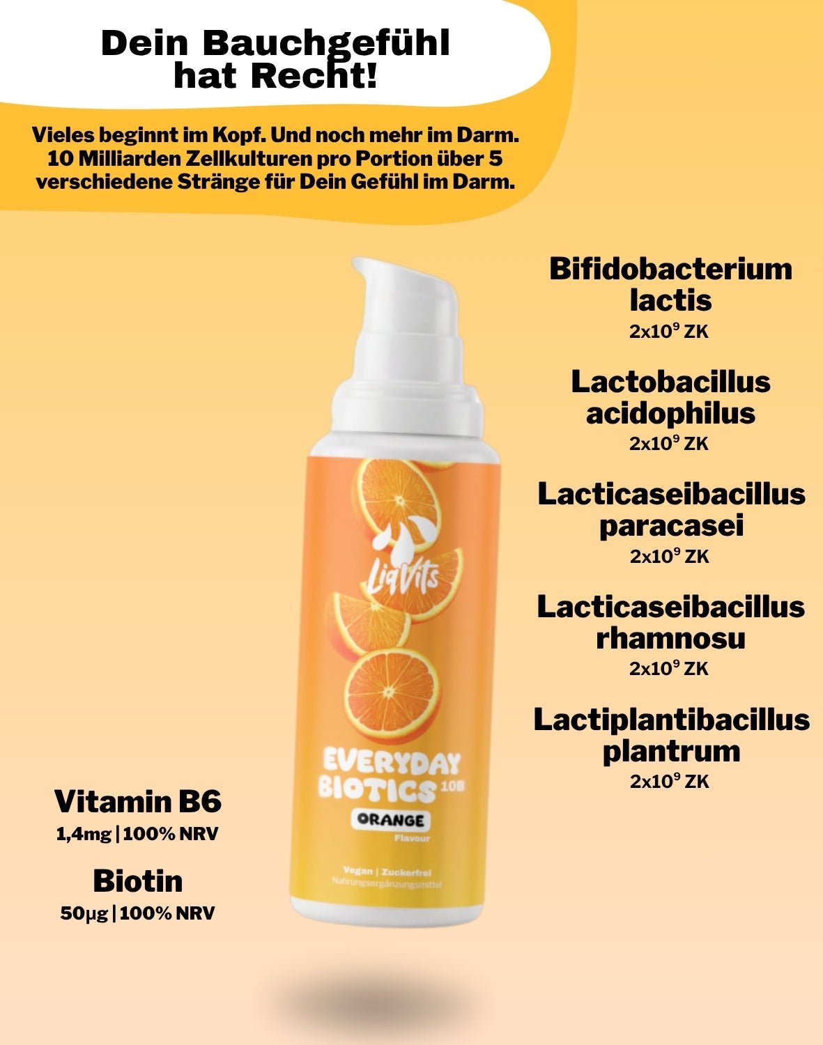 LiqVits fluessige Nahrungsergaenzungsmittel Everyday Biotics 10B Orange -10 Mrd Darmkulturen fuer das Mikrobiom- Inhaltsstoffe mit NRV -Darm der Zukunft Technologie